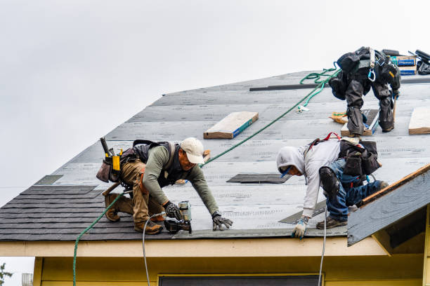 Professional Roofing technician working in Rockwood, MI